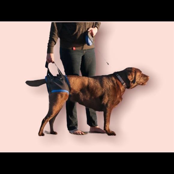 WALKABOUT Original Back End Harness, Black - Picture 5 of 5